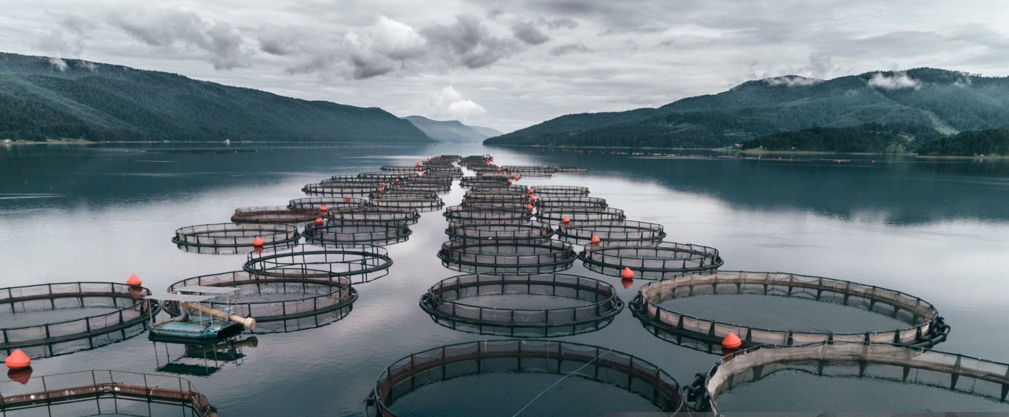 Fishfarming Seacages