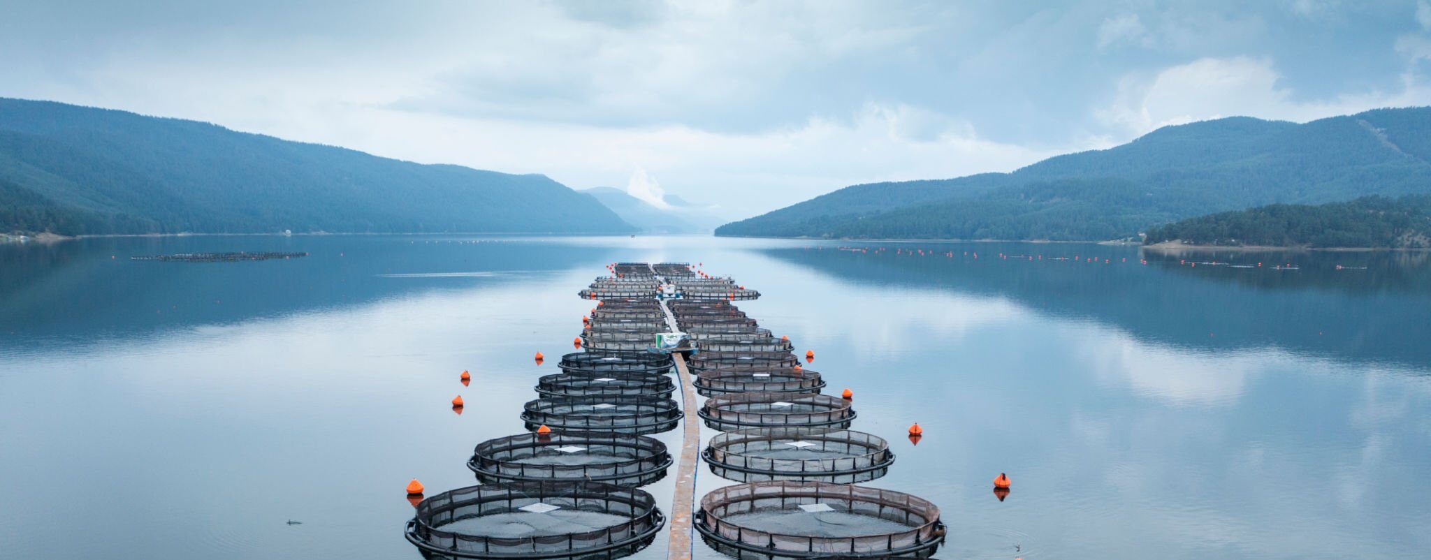 Aerial view of fish farm with enclosures in lake. Akvaris